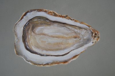 Breton Oyster 2 by Lincoln Seligman